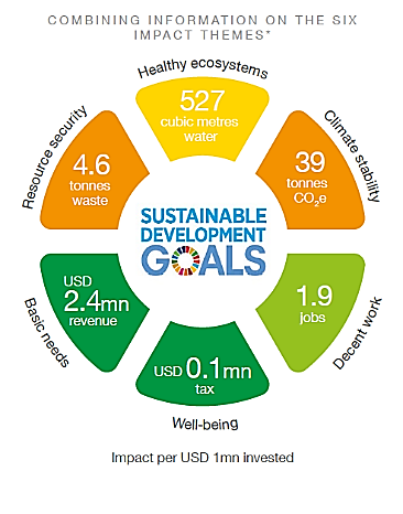 Sustainable development goals infographic 