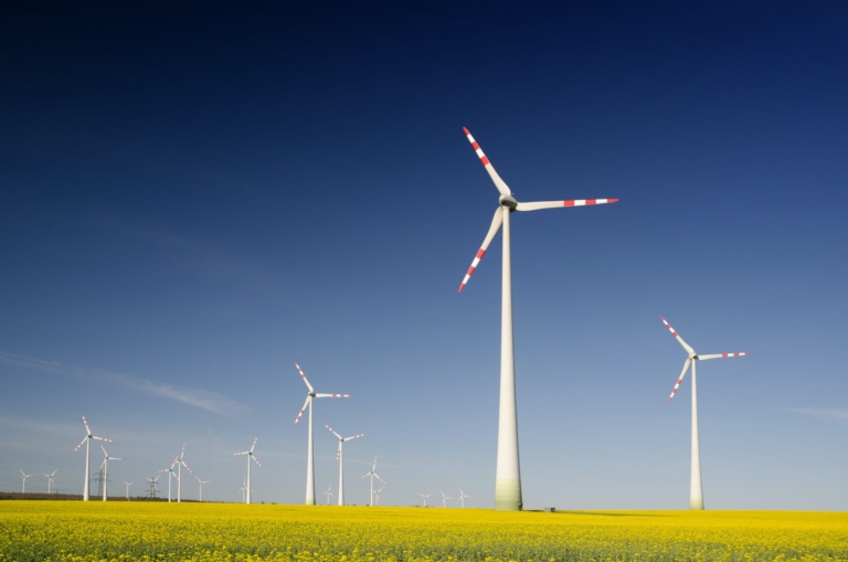 Wind turbines in field