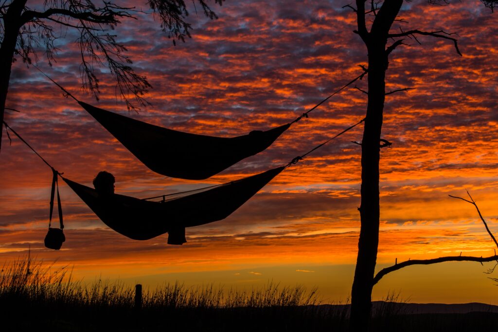 Two hammocks hanging against trees with sunset