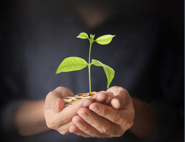 A pair of hands holds a pile of coins with a green sprout growing out of it